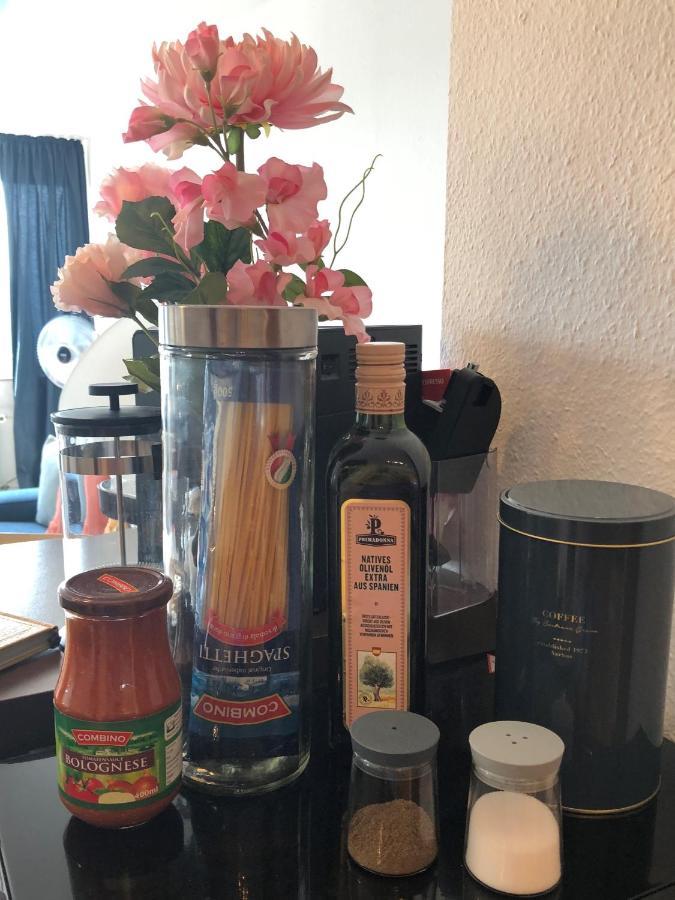 Grosses Appartement Mit Aussichtsbalkon Ludwigsburg Eksteriør billede