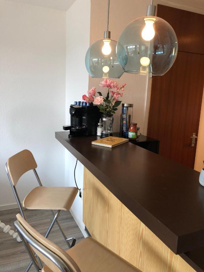 Grosses Appartement Mit Aussichtsbalkon Ludwigsburg Eksteriør billede